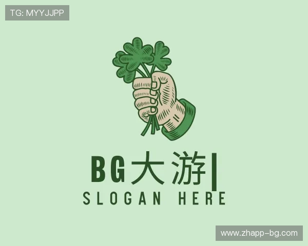 关于BG大游官网